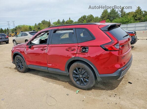 7FARS6H50TE009232 2026 HONDA CR-V Красный Задняя левая четверть