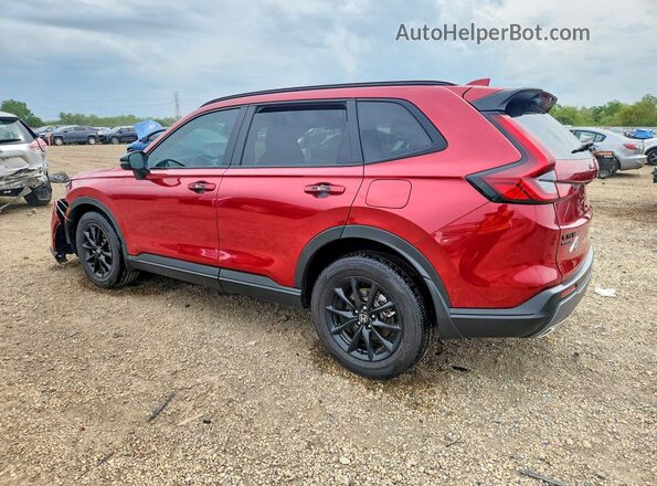7FARS6H50TE017654 2026 HONDA CR-V Burgundy Հետևի ձախ