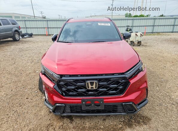 7FARS6H50TE017654 2026 HONDA CR-V Burgundy Դիմացի տեսք