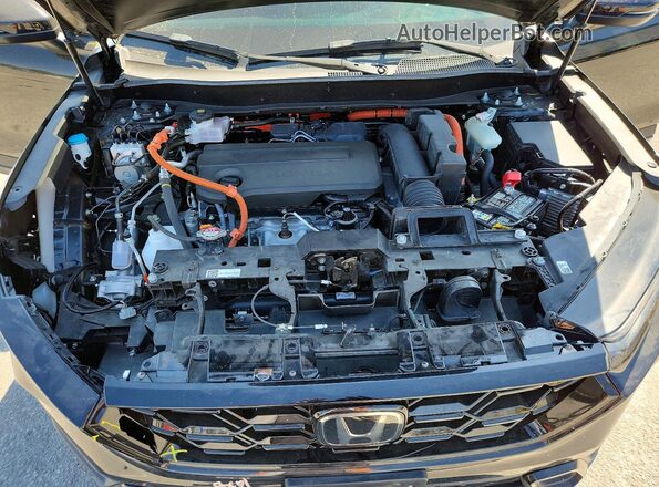 7FARS6H58RE068473 2024 HONDA CR-V Black უკანა სალონის ხედი