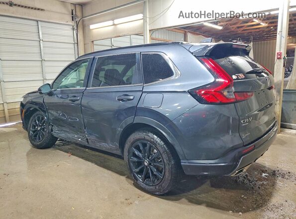 7FARS6H5XRE025527 2024 HONDA CR-V Синий Задняя левая четверть