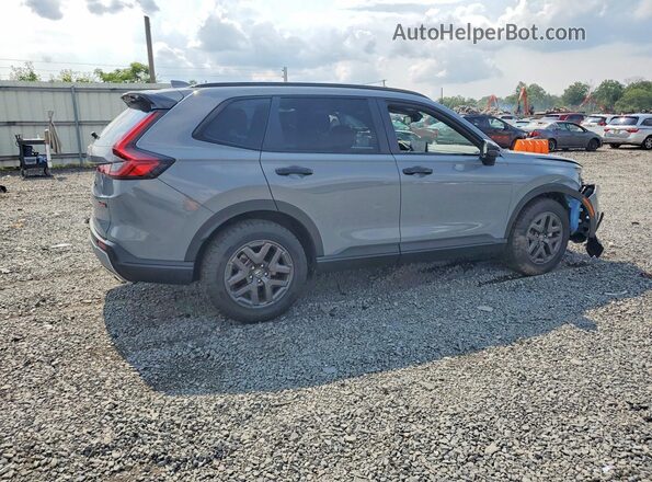7FARS6H61TE011080 2026 HONDA CR-V Gray Հետևի աջ