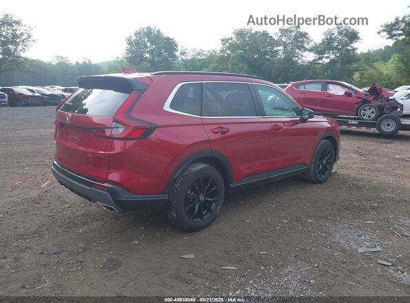 7FARS6H86SE006277 2025 HONDA CR-V Red Tył prawy