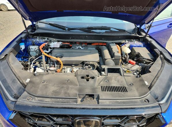 7FARS6H86SE046665 2025 HONDA CR-V Blue Вид задньої частини салону