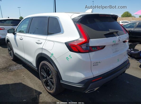 7FARS6H91RE002754 2024 HONDA CR-V White Задня ліва чверть