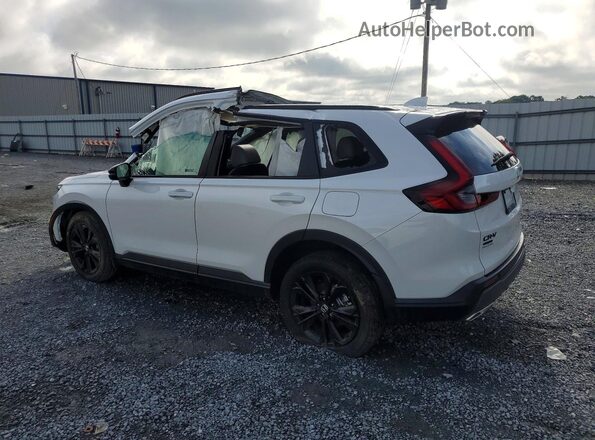 7FARS6H91TE077297 2026 HONDA CR-V White Задня ліва чверть