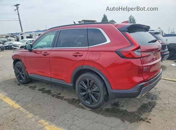 7FARS6H95RE007259 2024 HONDA CR-V Red Tył lewy