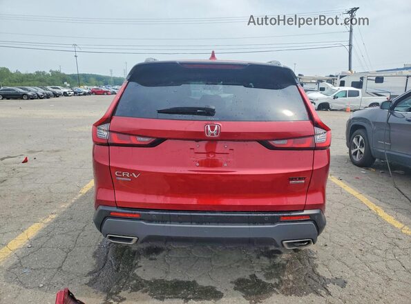 7FARS6H95RE007259 2024 HONDA CR-V Red Widok z tyłu