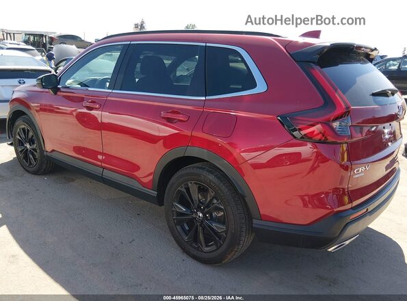 7FARS6H95SE033365 2025 HONDA CR-V Red Հետևի ձախ