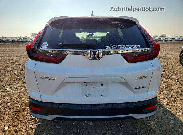 7FART6H5XLE008294 2020 HONDA CR-V White Rear view