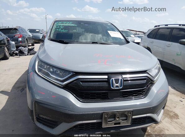 7FART6H5XLE008831 2020 HONDA CR-V Gray Вид задньої частини салону