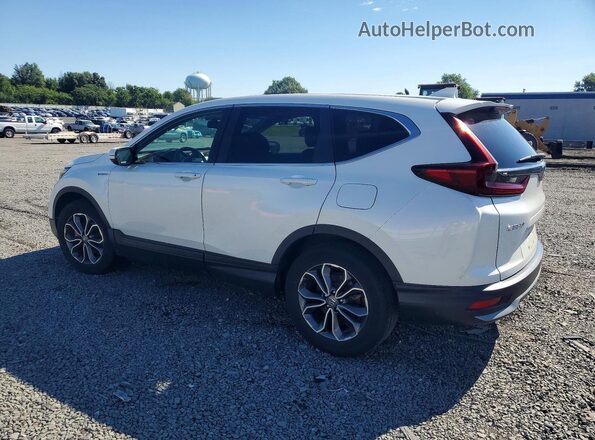 7FART6H81LE011384 2020 HONDA CR-V White უკანა მარცხენა