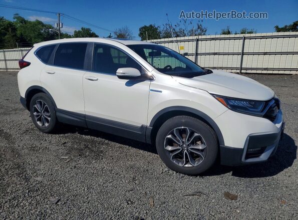 7FART6H81LE011384 2020 HONDA CR-V White წინა მარჯვენა