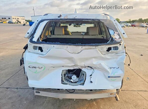 7FART6H88LE019546 2020 HONDA CR-V White Widok z tyłu