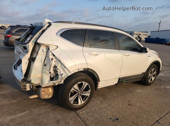 7FART6H88LE019546 2020 HONDA CR-V White Tył prawy