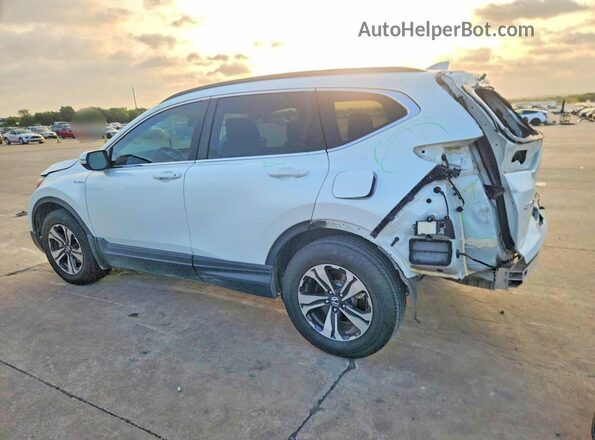 7FART6H88LE019546 2020 HONDA CR-V White Tył lewy