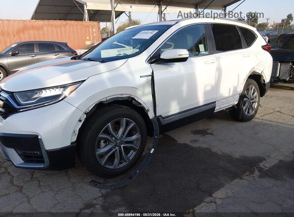 7FART6H96LE019991 2020 HONDA CR-V White Widok z przodu
