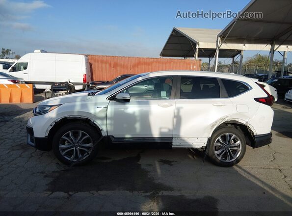 7FART6H96LE019991 2020 HONDA CR-V White Widok wnętrza z tyłu