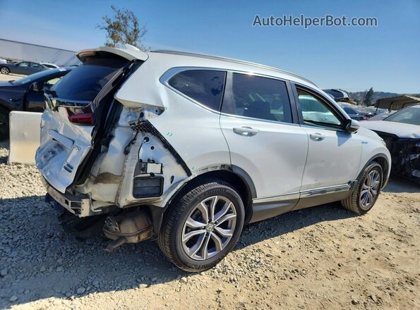 7FART6H99LE004336 2020 HONDA CR-V White უკანა მარჯვენა