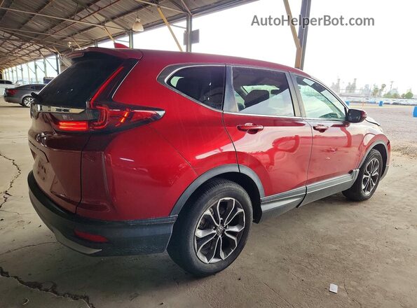 7FARW1H59ME000036 2021 HONDA CR-V Maroon Tył prawy