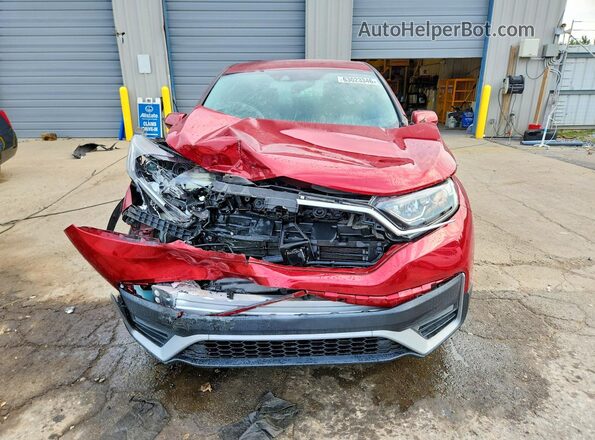 7FARW1H76ME016258 2021 HONDA CR-V Burgundy Вид спереду