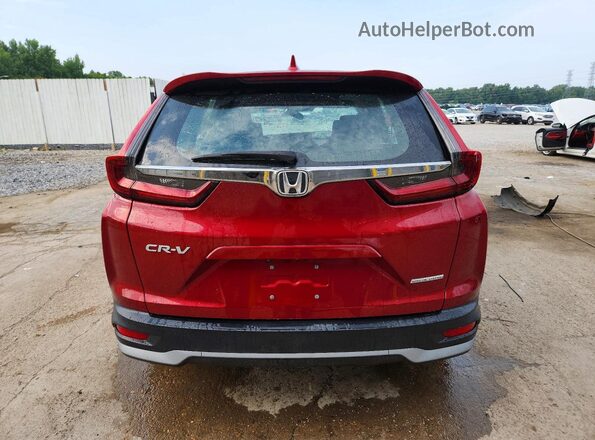 7FARW1H76ME016258 2021 HONDA CR-V Burgundy Вид ззаду