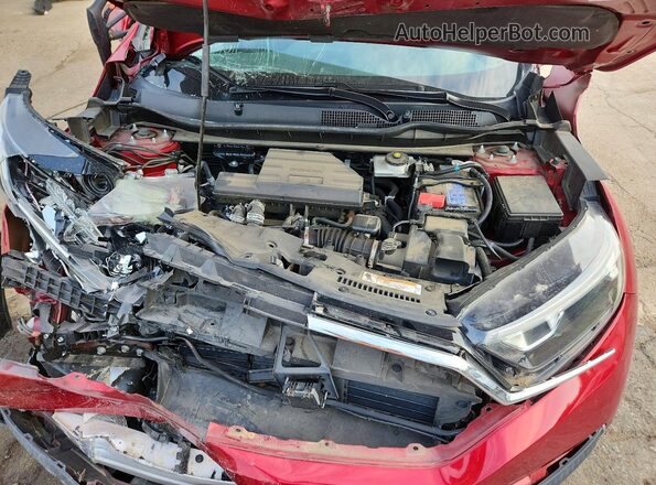7FARW1H76ME016258 2021 HONDA CR-V Burgundy Вид задньої частини салону