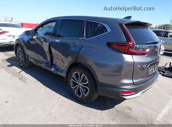 7FARW1H85LE025007 2020 HONDA CR-V Gray Հետևի ձախ