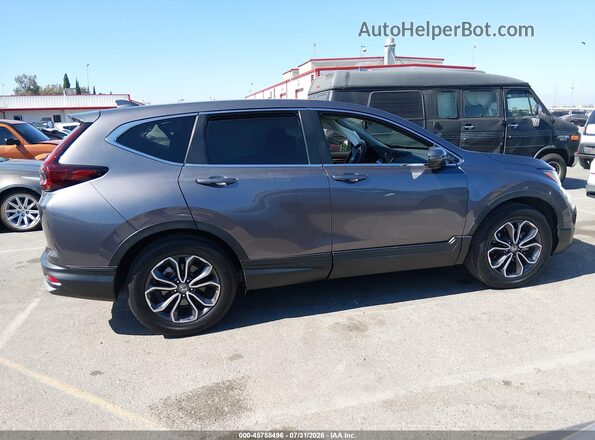 7FARW1H85LE025007 2020 HONDA CR-V Gray Սալոնի հետևի տեսք