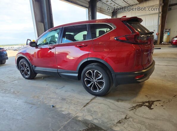 7FARW2H51LE007390 2020 HONDA CR-V Red უკანა მარცხენა