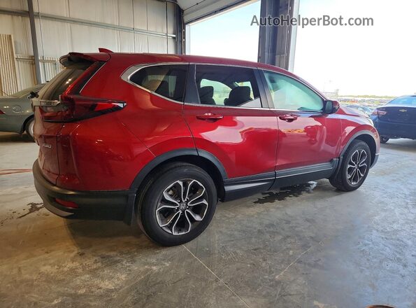 7FARW2H51LE007390 2020 HONDA CR-V Red უკანა მარჯვენა