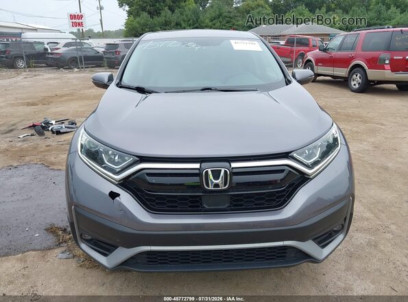 7FARW2H57LE007023 2020 HONDA CR-V Gray უკანა სალონის ხედი