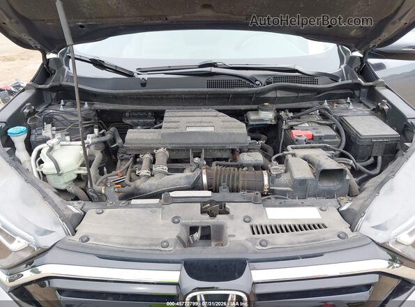 7FARW2H57LE007023 2020 HONDA CR-V Gray უკანა ხედი