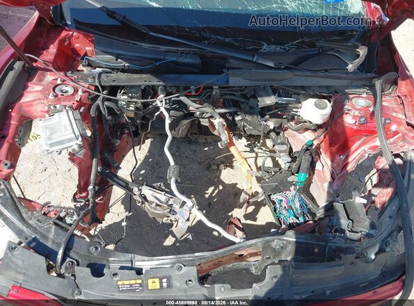 7MMVAADW0SN135170 2025 MAZDA CX-50 HYBRID Red Widok z tyłu