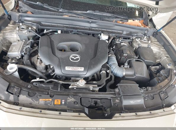 7MMVABEY3PN102676 2023 MAZDA CX-5 Green Вид ззаду
