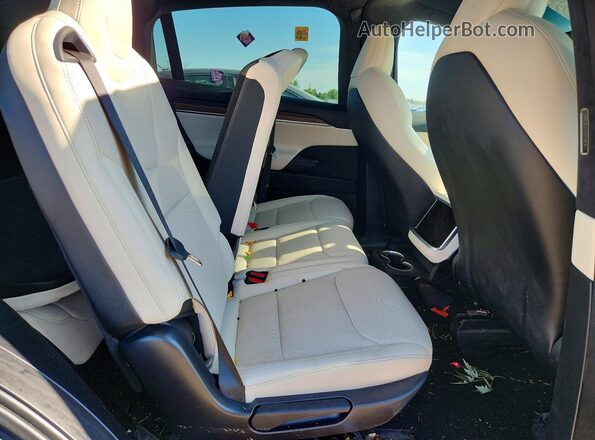 7SAXCAE5XRF459179 2024 TESLA MODEL Green Rear seats view