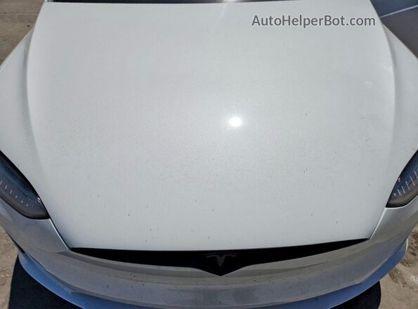 7SAXCBE68TF486676 2026 TESLA MODEL White Vista interior trasera