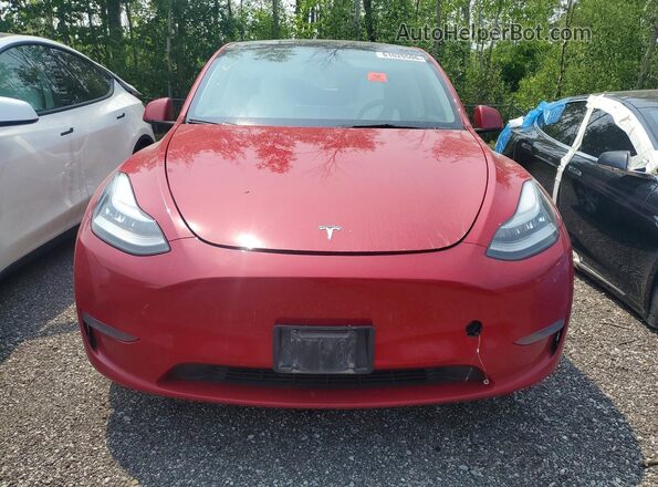 7SAYGAEE5NF518576 2022 TESLA MODEL Red წინა ხედი