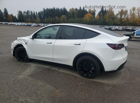 7SAYGAEE7RF157373 2024 TESLA MODEL Белый Задняя левая четверть
