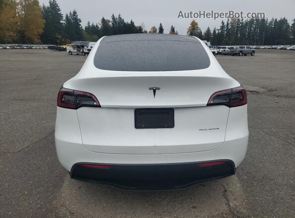 7SAYGAEE7RF157373 2024 TESLA MODEL Белый Вид сзади