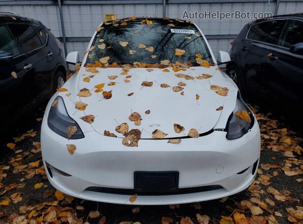7SAYGAEE7RF157373 2024 TESLA MODEL Белый Вид спереди