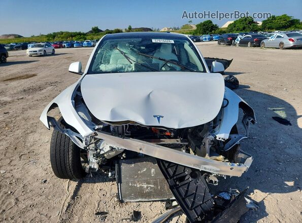 7SAYGAEE8PF933944 2023 TESLA MODEL White Widok z przodu