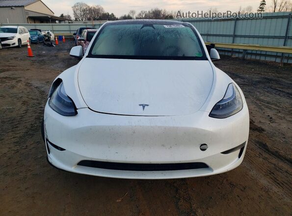 7SAYGAEEXRF206646 2024 TESLA MODEL White Widok z przodu