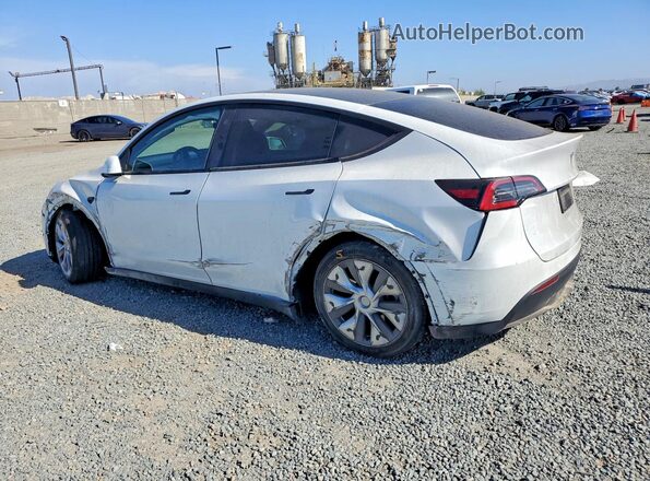 7SAYGDED2RF088276 2024 TESLA MODEL White უკანა მარცხენა