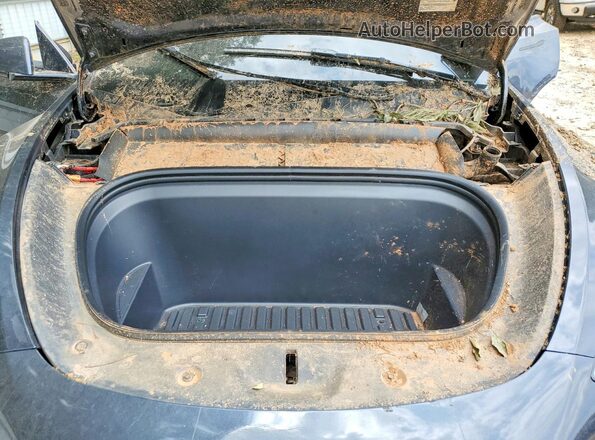 7SAYGDED2SA352793 2025 TESLA MODEL Серый Вид задней части салона