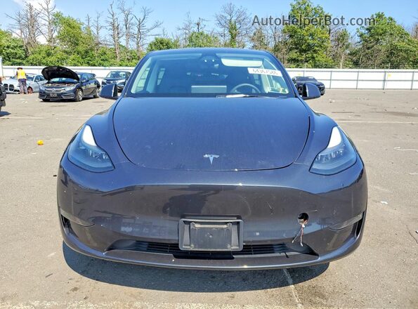 7SAYGDED3RF085340 2024 TESLA MODEL Серый Вид спереди