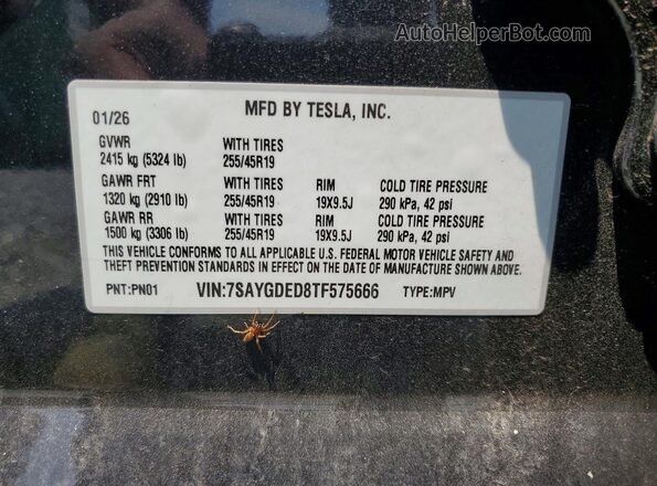 7SAYGDED8TF575666 2026 TESLA MODEL Угольный Вид подкапотного пространства