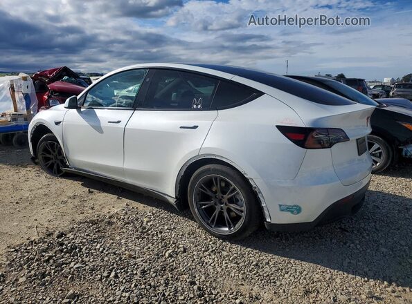 7SAYGDED9SF321592 2025 TESLA MODEL Белый Задняя левая четверть