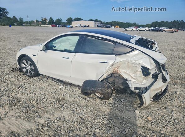 7SAYGDEDXRF041691 2024 TESLA MODEL White უკანა მარცხენა