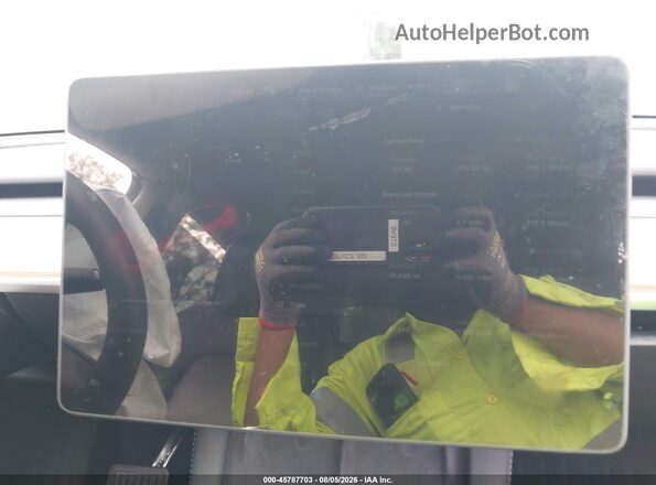 7SAYGDEDXSF260513 2025 TESLA MODEL Y Gray Вид задніх сидінь